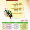 মাদরাসার 12 পৃষ্ঠার পরিচিতি ডিজাইন