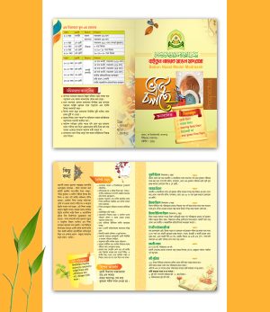ক্যাডেট মাদরাসা প্রসপেক্টাস ডিজাইন